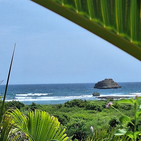 Villa Muscade Guadeloupe, Piscine, Vue Mer Et Acces Plage Saint-Francois  Exterior foto