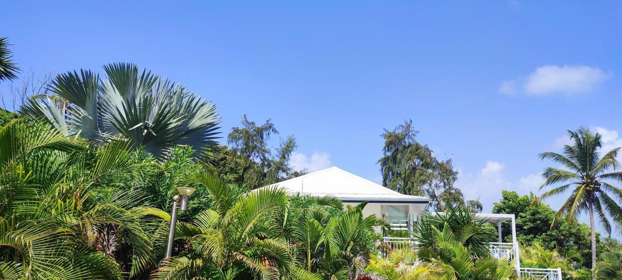 Villa Muscade Guadeloupe, Piscine, Vue Mer Et Acces Plage Saint-Francois  Exterior foto